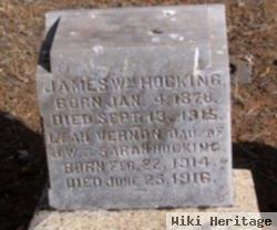 James William Hocking