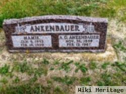 A. D. Ankenbauer