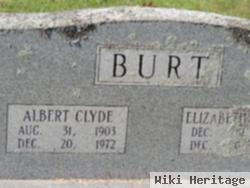 Albert Clyde Burt