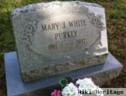 Mary J. White Purkey