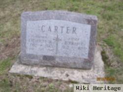 Catherine M Carter