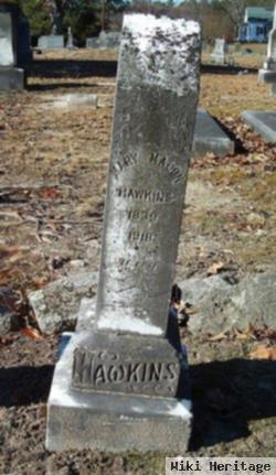 Mary Macon Hawkins