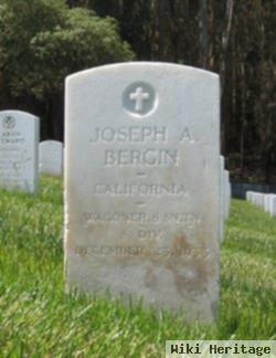 Joseph Bergin