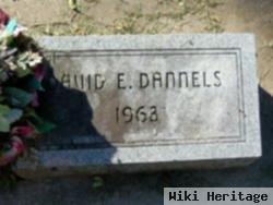 David E. Dannels