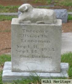 Theodore Ellsworth Economon