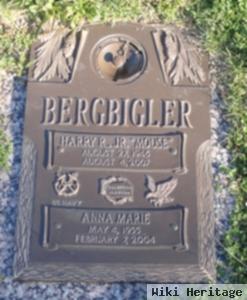 Anna Marie Burke Bergbigler