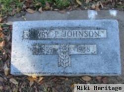 Mary P. Johnson