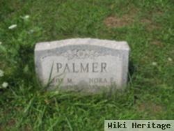 Joe M. Palmer