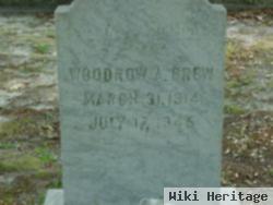 Woodrow A. Brew