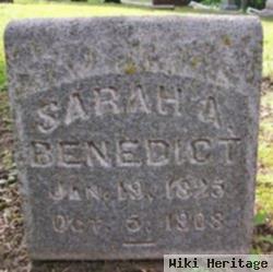 Sarah A Benedict