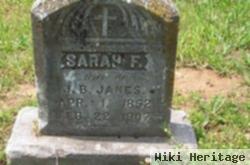 Sarah F Janes