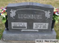 Robert E Luginbuhl