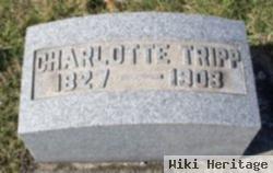 Charlotte Gantz Tripp