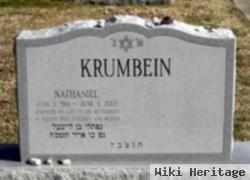 Nathaniel Krumbein