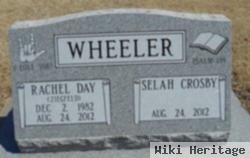 Selah Crosby Wheeler