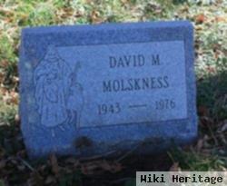 David M Molskness