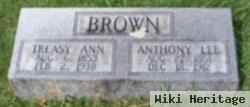 Treasy Ann Brown Brown