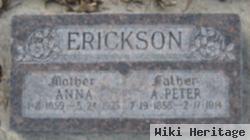 A. Peter Erickson
