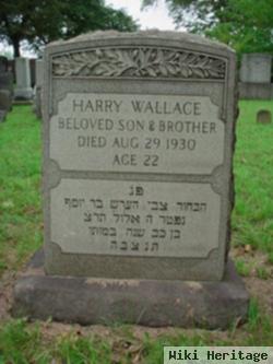 Harry Wallace