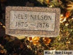 Nels Nelson