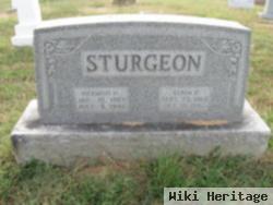 Hermon H Sturgeon