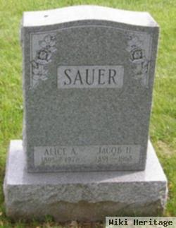 Jacob H. Sauer