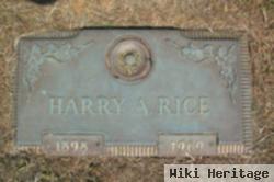 Harry A Rice