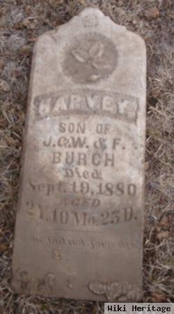 Harvey Burch