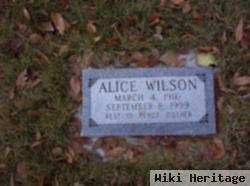 Alice Sophie Leib Wilson