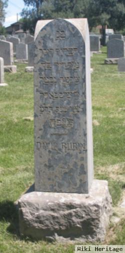 David Rubin