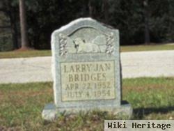 Larry Jan Bridges