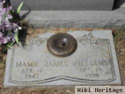 Mamie James Williams