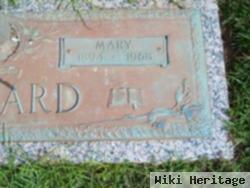 Mary Stevens Willard