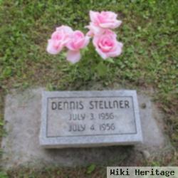 Dennis Stellner