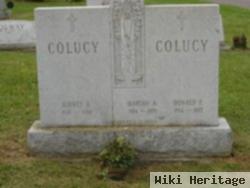 Donald P. Colucy