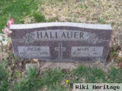 Jacob Hallauer