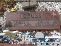 James A Cross