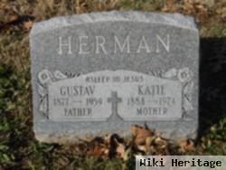 Gustav F Herman