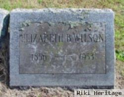 Elizabeth B. Wilson