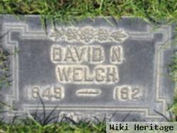 David N Welch