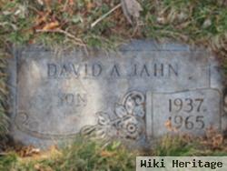 David A Jahn