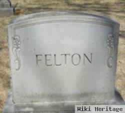 Mehitabel Ann Dodge Felton