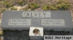 William Henry Alvey