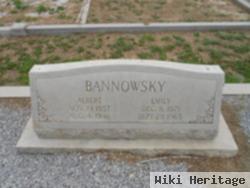 William Albert Bannowsky