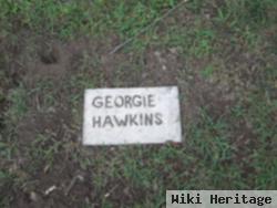 George Hawkins