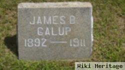 James B Gallup