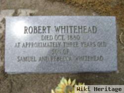 Robert Whitehead