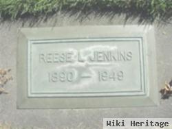 Reese L. Jenkins