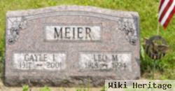 Gayle Irene Weir Meier