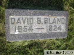 David Berry Bland